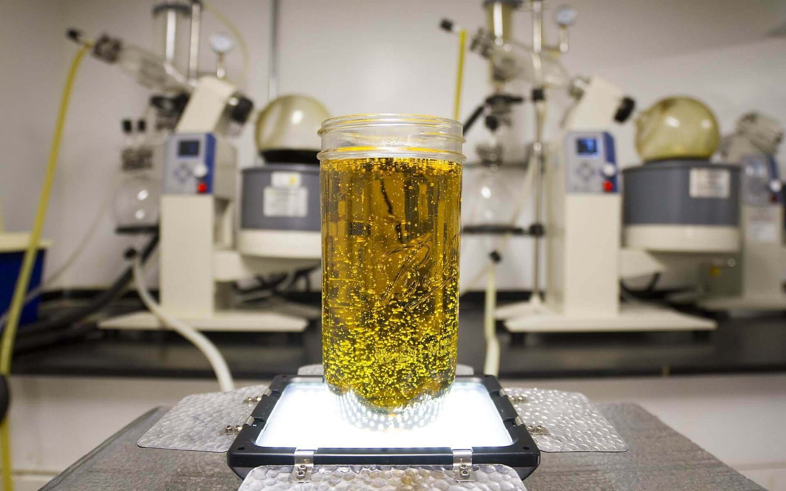Cannabis extraction laboratory with rotary evaporators and a jar of cannabis distillate on a light box, representing the Bel Costa Labs cannabinoid potency and pesticide panels Rove runs on every batch before retail release