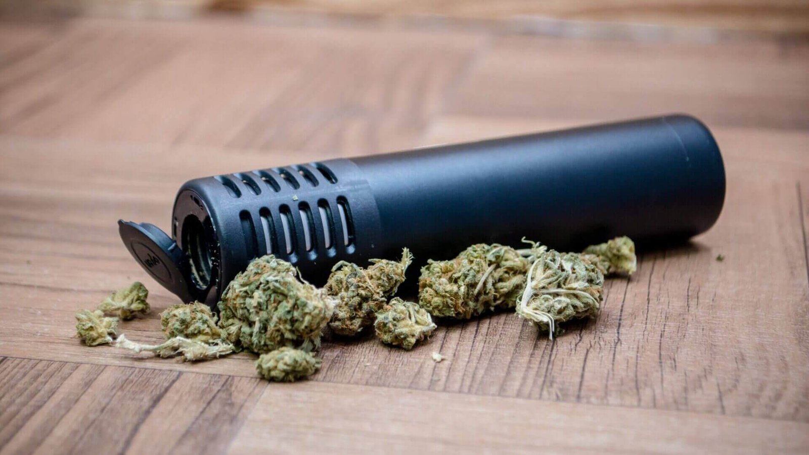 Portable dry herb vaporizer with mouthpiece visible, representative of the conduction oven category the PAX Mini sits in