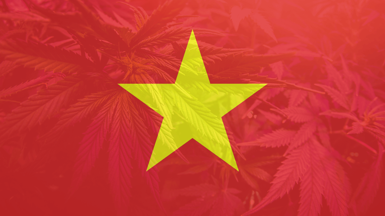 Cannabis legalization in Vietnam