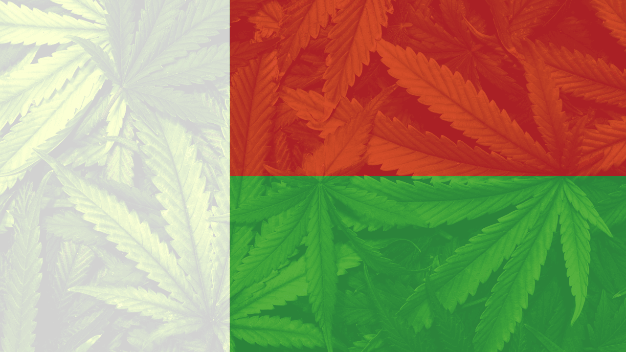 Cannabis legalization in Madagascar
