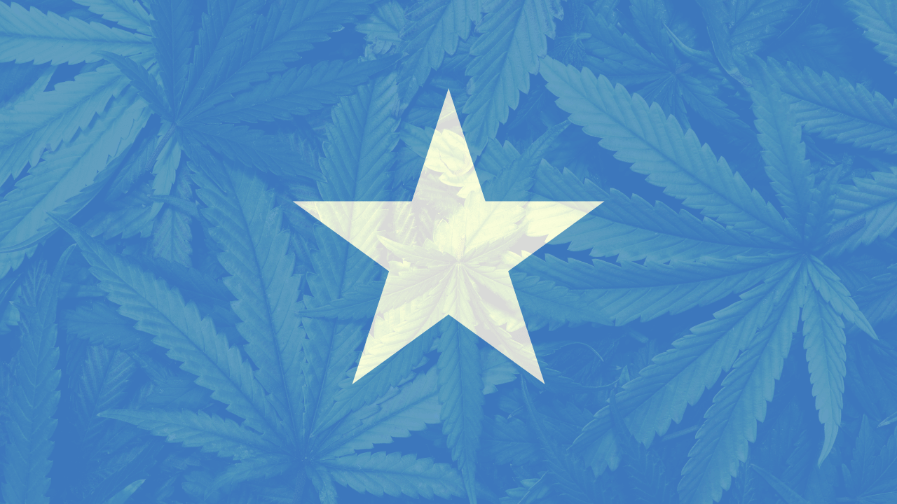 Cannabis legalization in Somalia