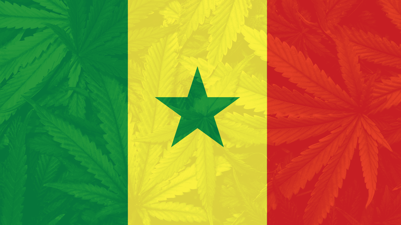 Cannabis legalization in Senegal