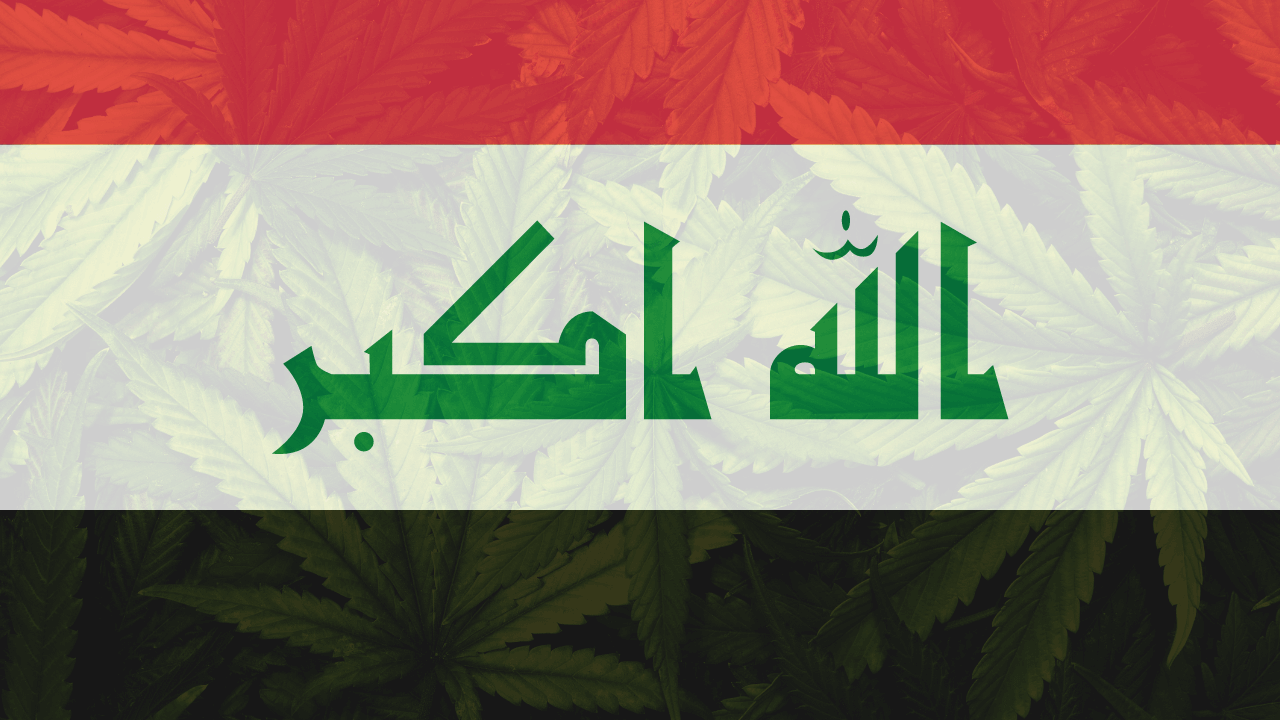 Cannabis legalization in Iraq