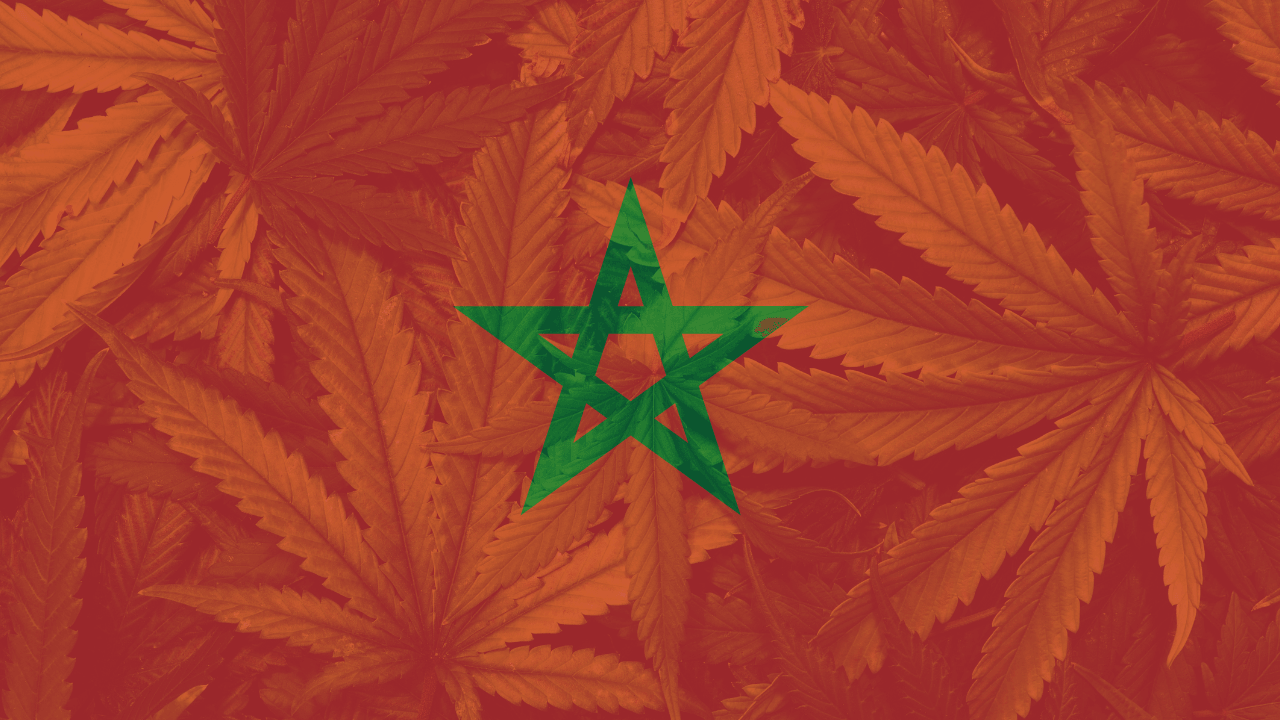 Cannabis legalization in Morocco