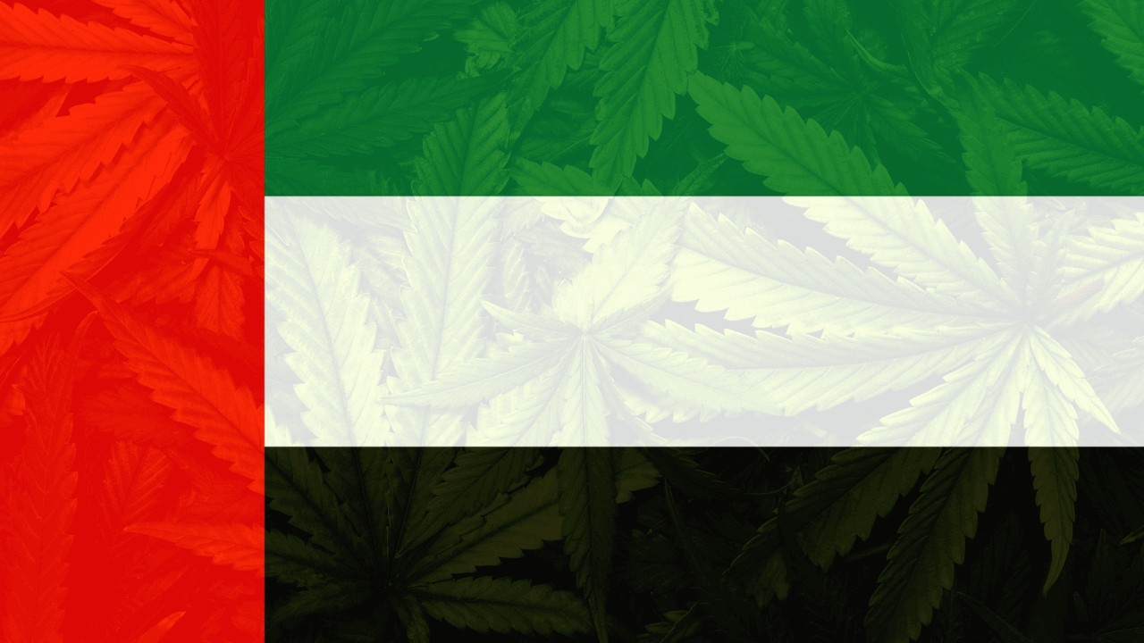 Cannabis legalization in The United Arab Emirates