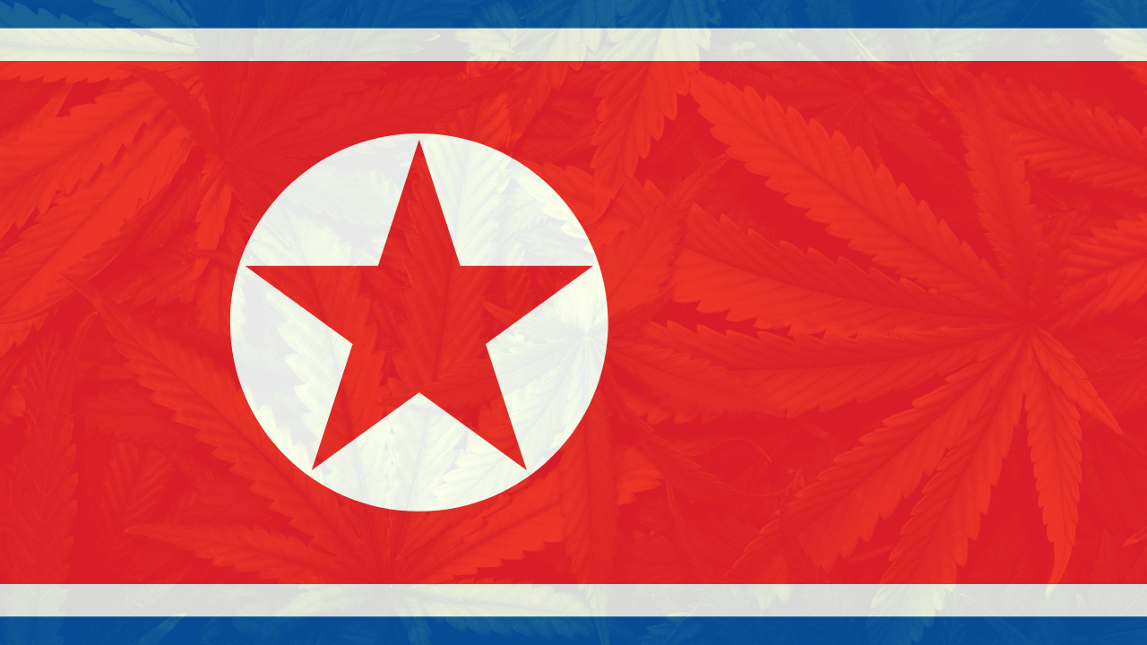 Cannabis legalization in North Korea