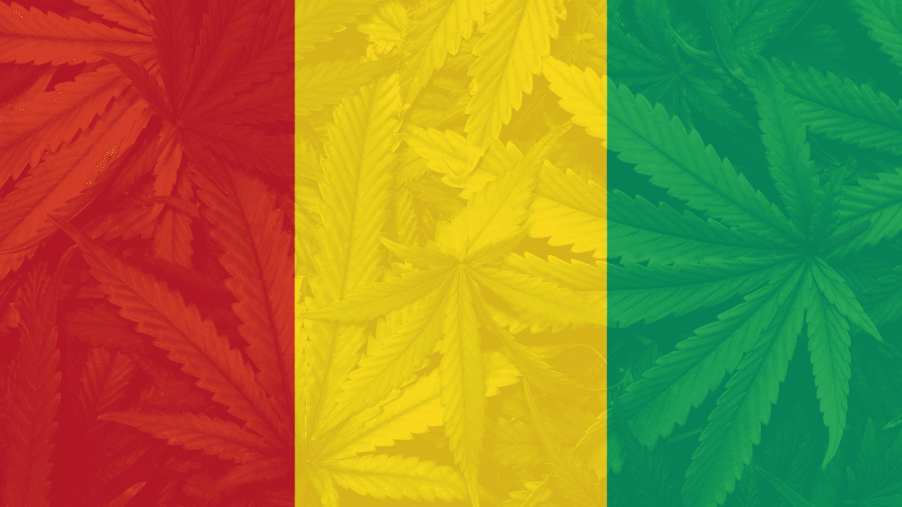 Cannabis legalization in Guinea