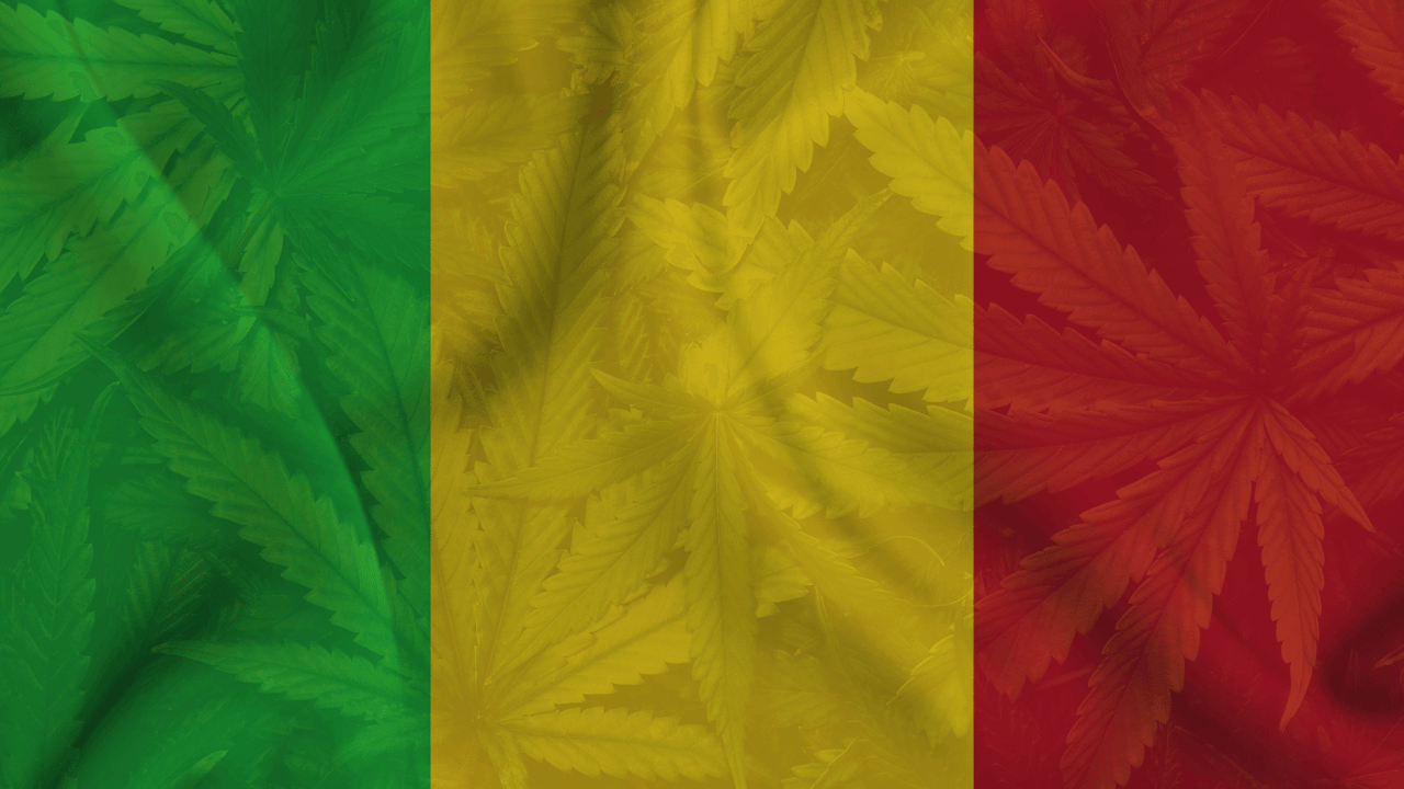 Cannabis legalization in Mali
