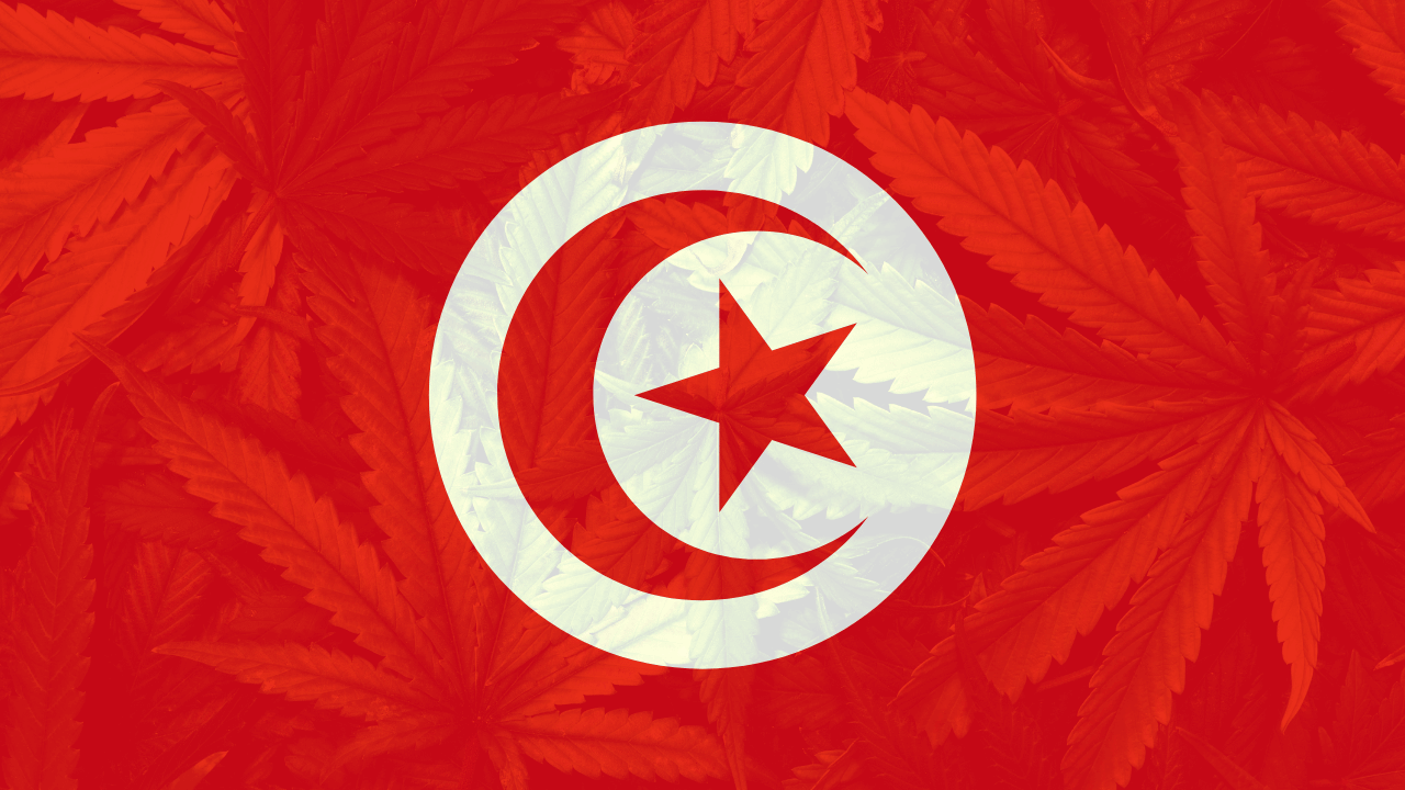 Cannabis legalization in Tunisia