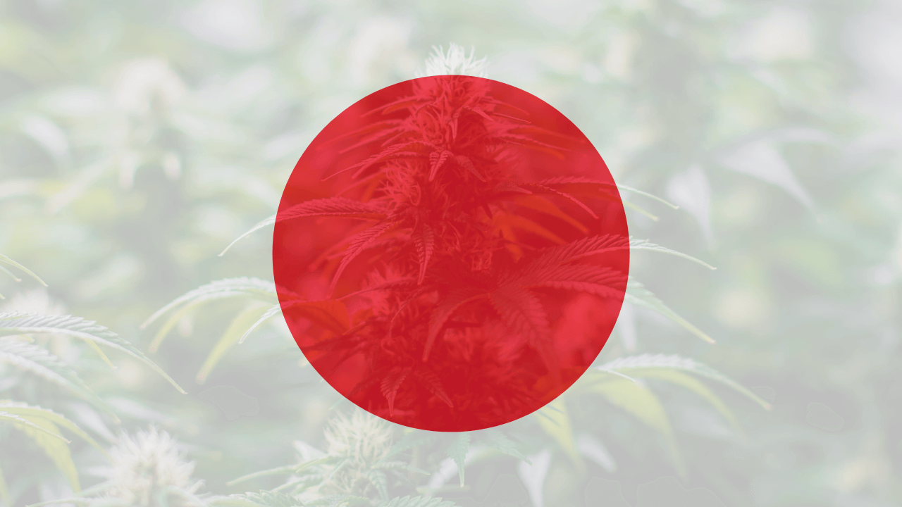 Cannabis legalization in Japan