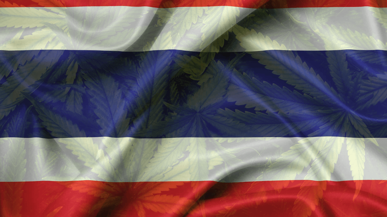 Cannabis legalization in Thailand
