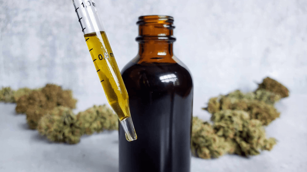 Amber tincture bottle with dropper of yellow oil and dried cannabis buds in soft background