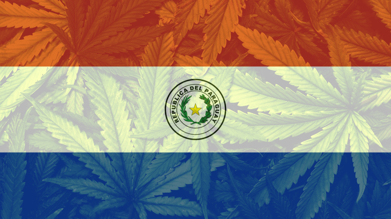 Cannabis legalization in Paraguay