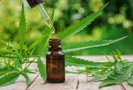 Cannabis tincture in a small glass bottle resting on a counter
