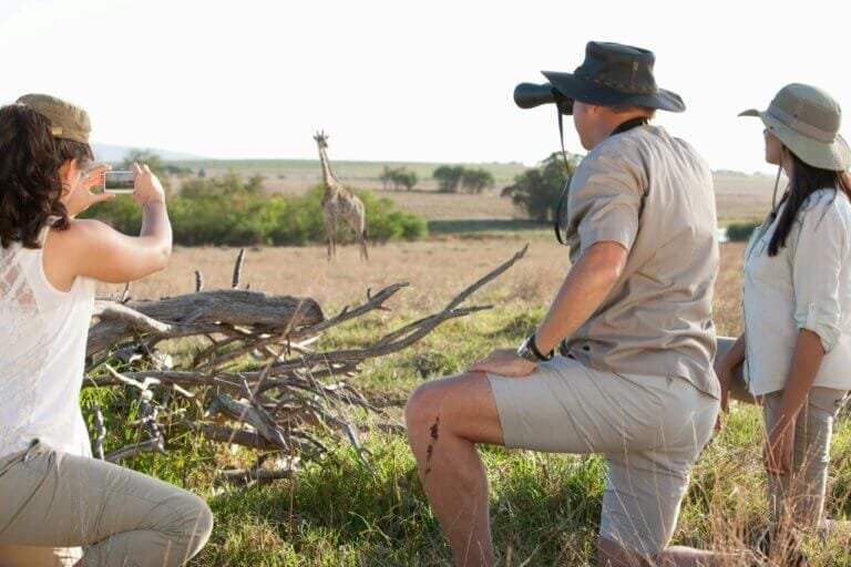 African safari representing African cannabis laws