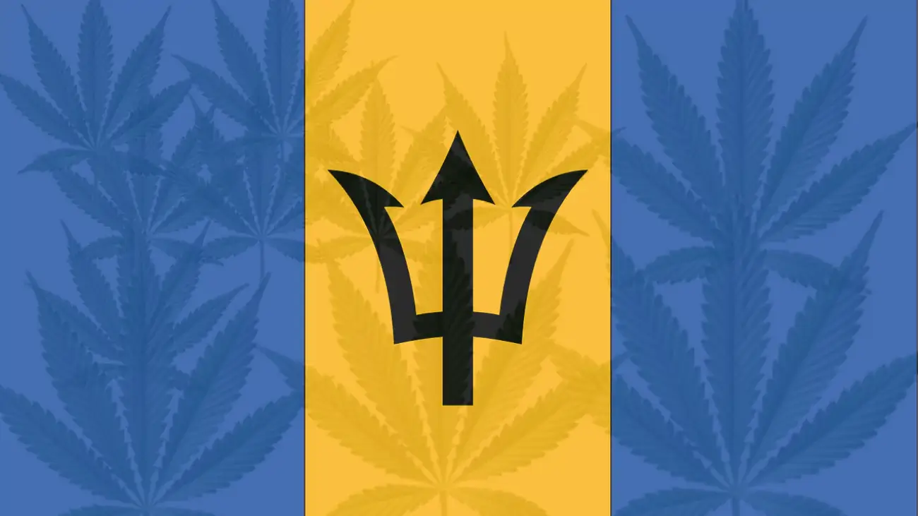 Cannabis legalization in Barbados