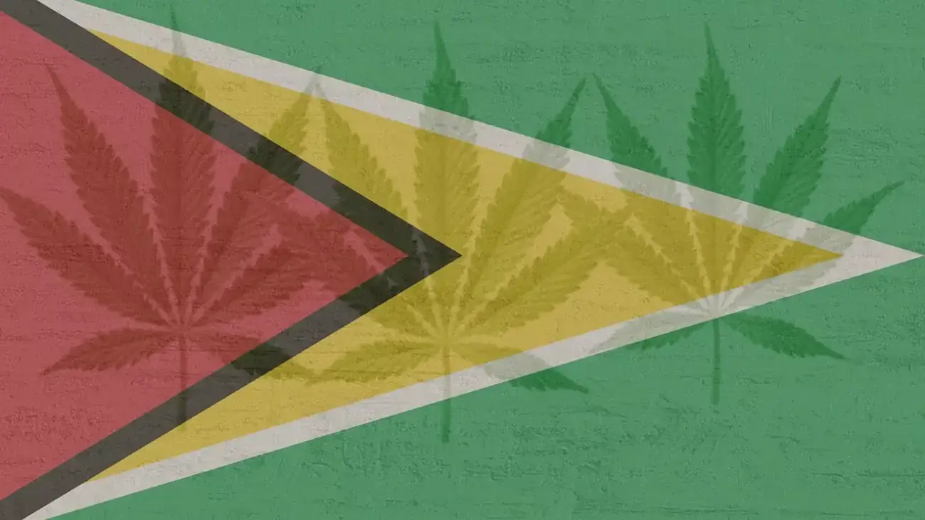 Cannabis legalization in Guyana
