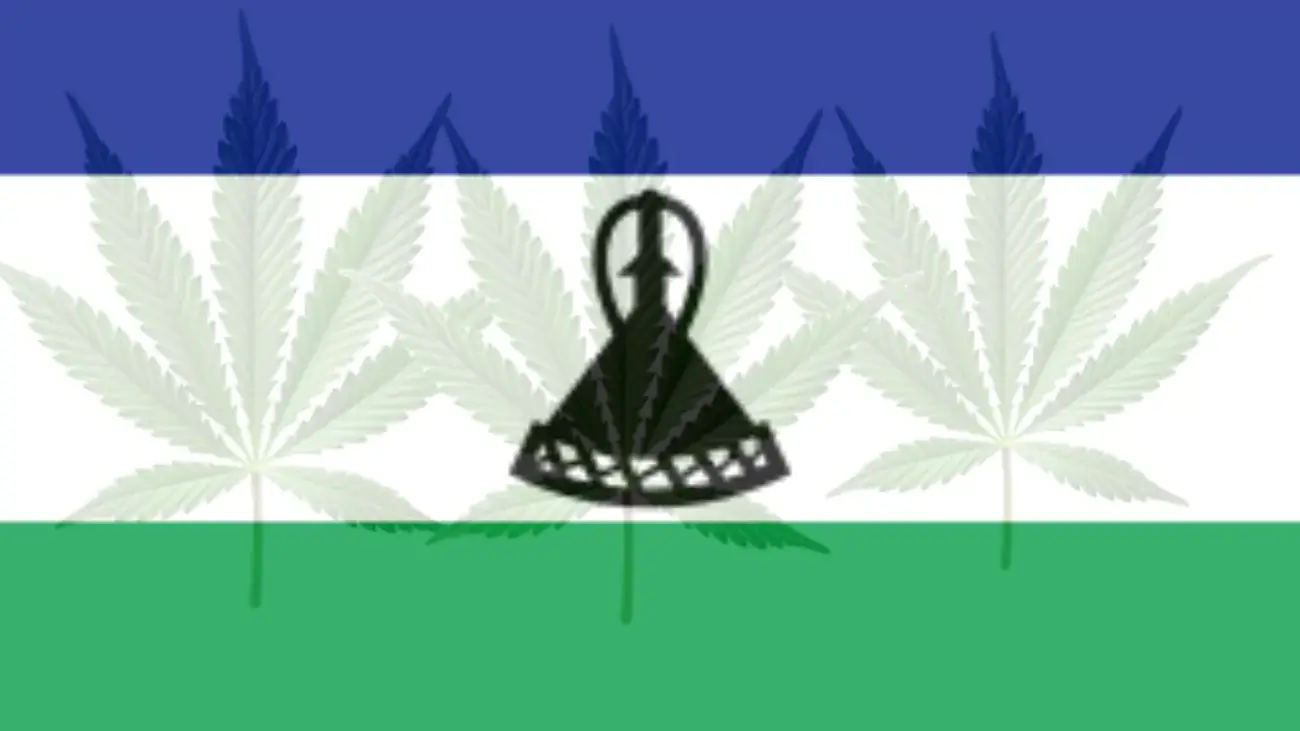 Cannabis legalization in Lesotho