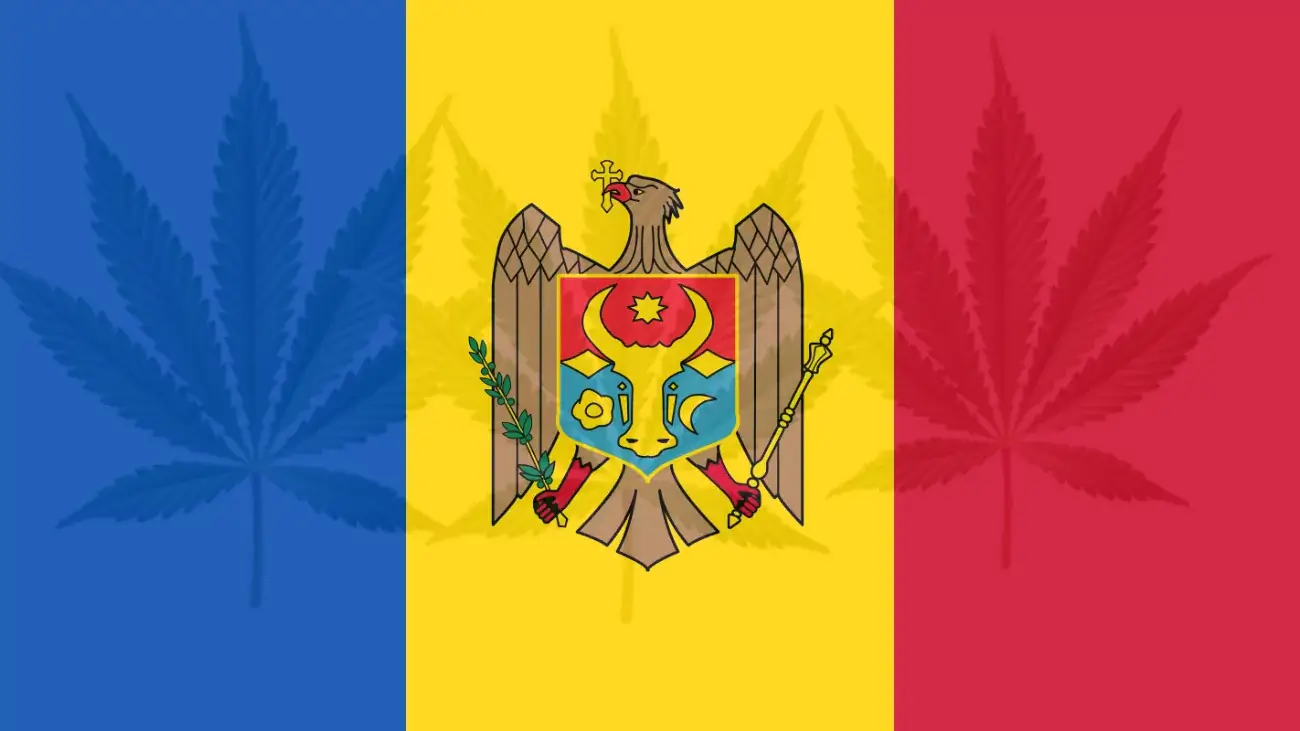 Cannabis legalization in Moldova