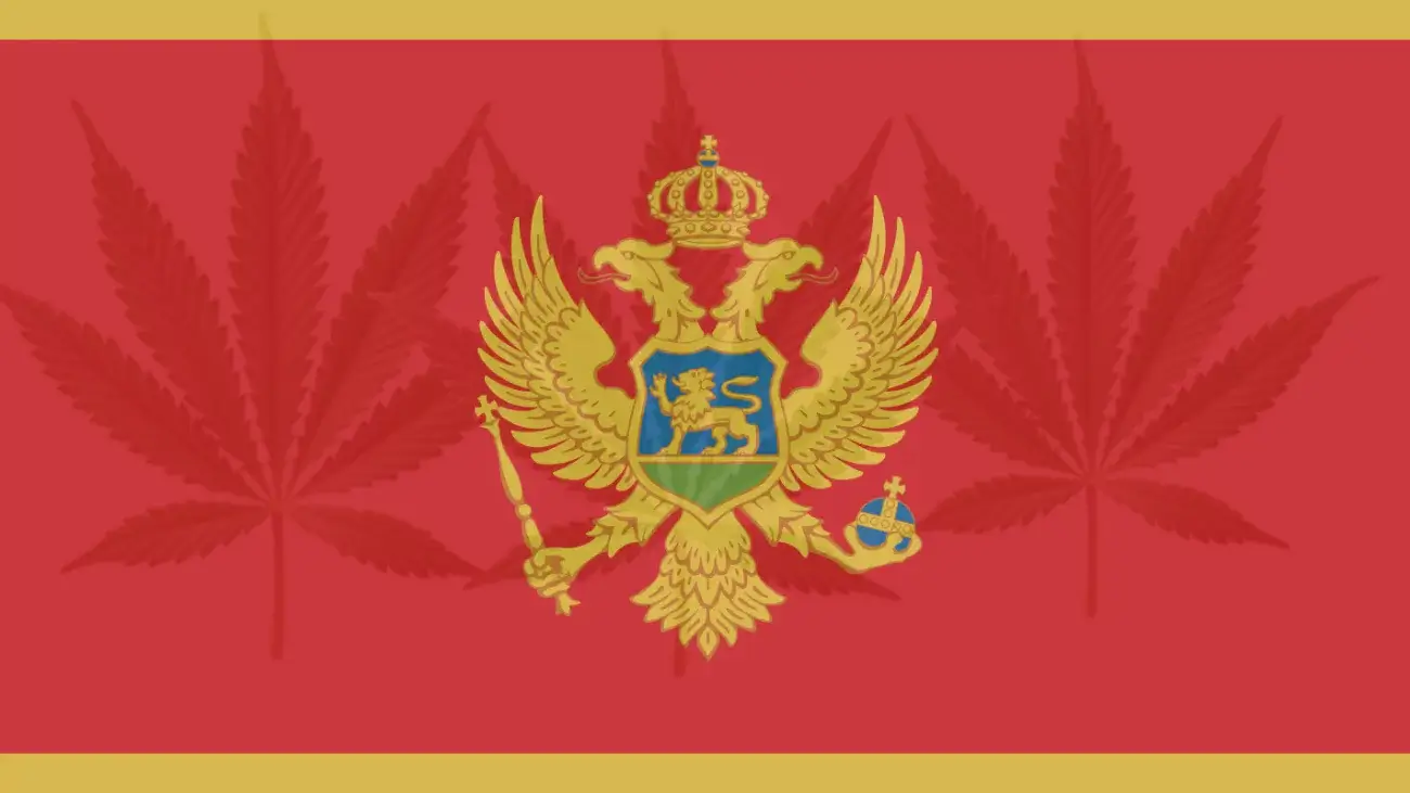 Cannabis legalization in Montenegro