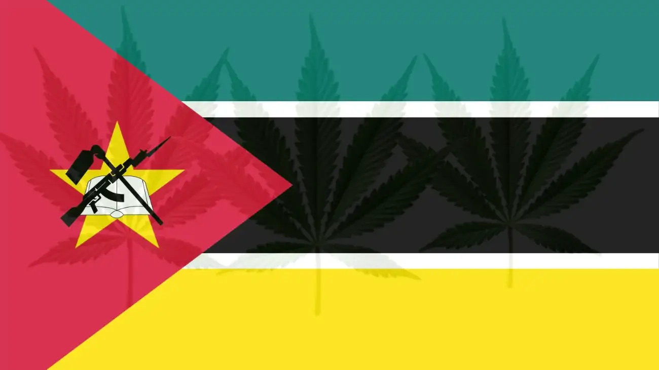 Cannabis legalization in Mozambique