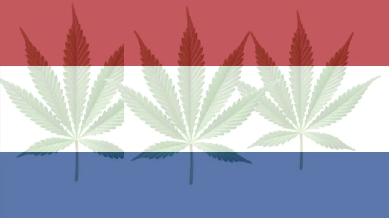 Cannabis legalization in The Netherlands