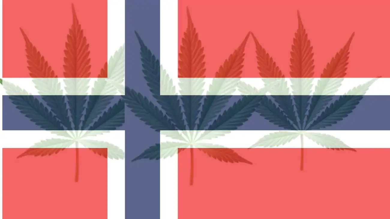 Cannabis legalization in Norway
