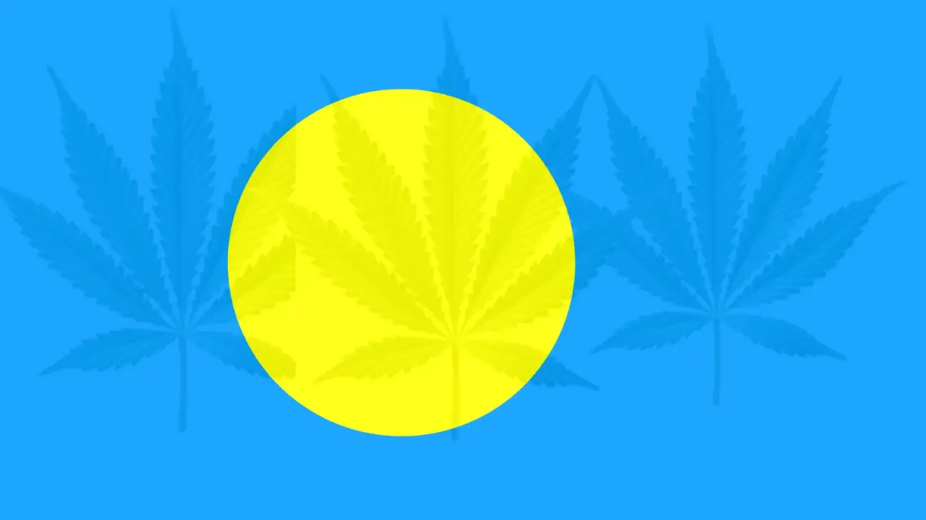 Cannabis legalization in Palau