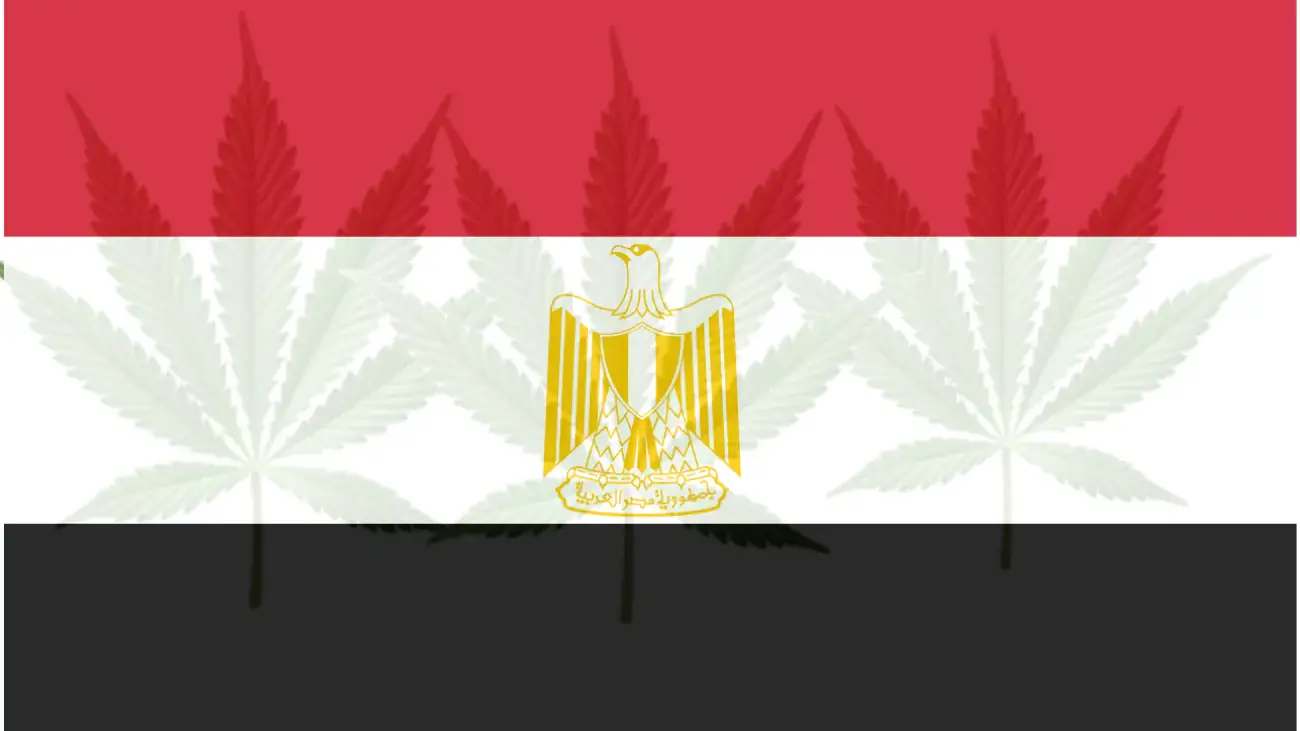 Cannabis legalization in Egypt