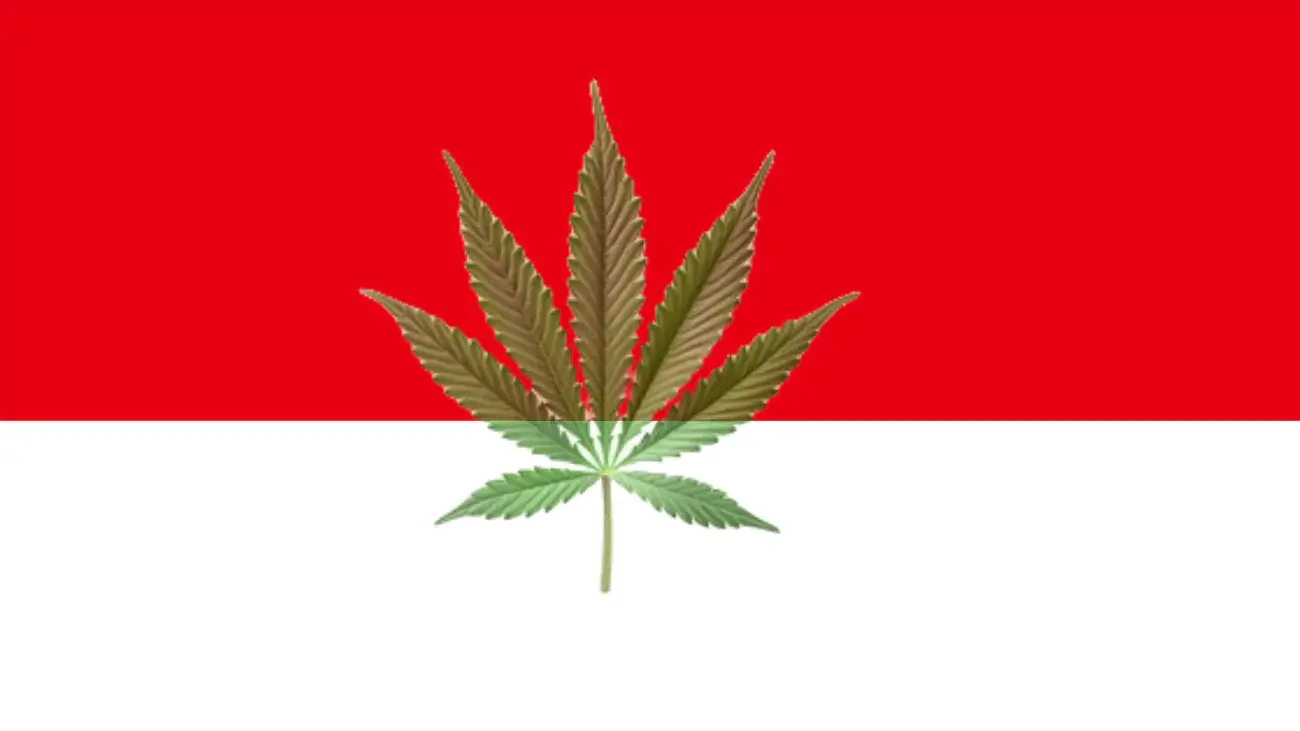 Cannabis legalization in Indonesia
