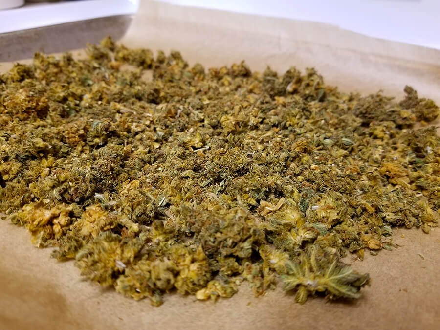 Coarsely broken cannabis flower spread on a parchment-lined baking sheet after 30 minutes of decarboxylation in a 240F oven, showing the characteristic golden-toasted color