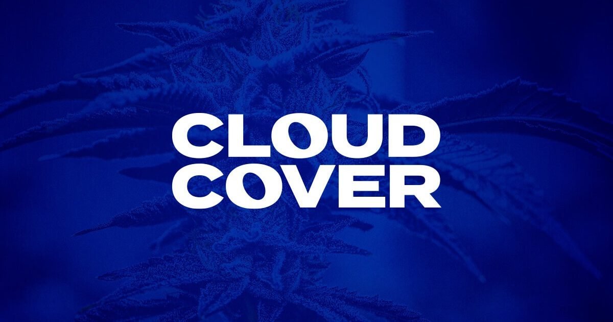 Cloud Cover Cannabis brand identity overlaid on a frosty cannabis flower close-up