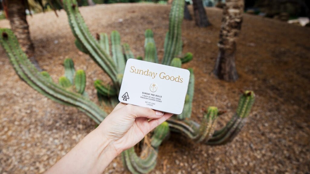 Sunday Goods Sunday Pre Rolls 7-pack of half-gram premium flower cones in a cream and gold tin on a wood surface