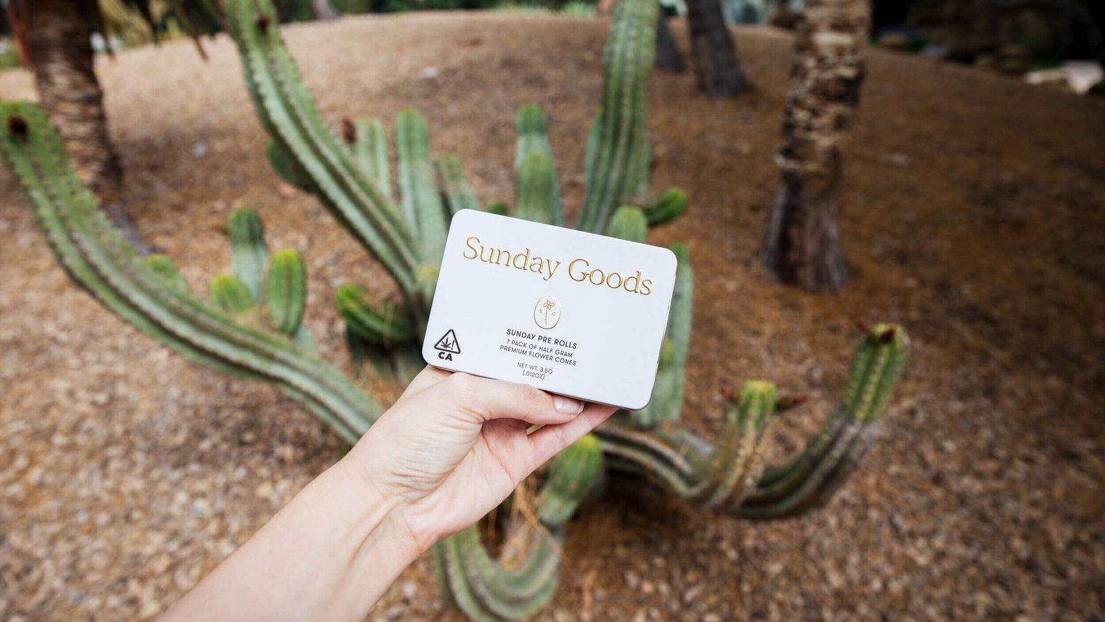 Sunday Goods Sunday Pre Rolls 7-pack of half-gram premium flower cones in cream and gold tin