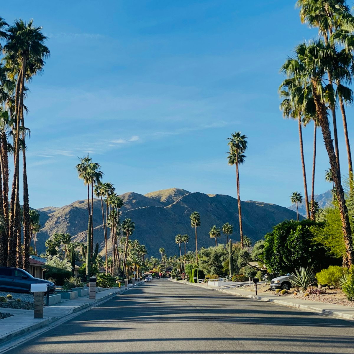 Coachella Valley palm trees and mountains framing the Empire Polo Club festival approach in Indio California