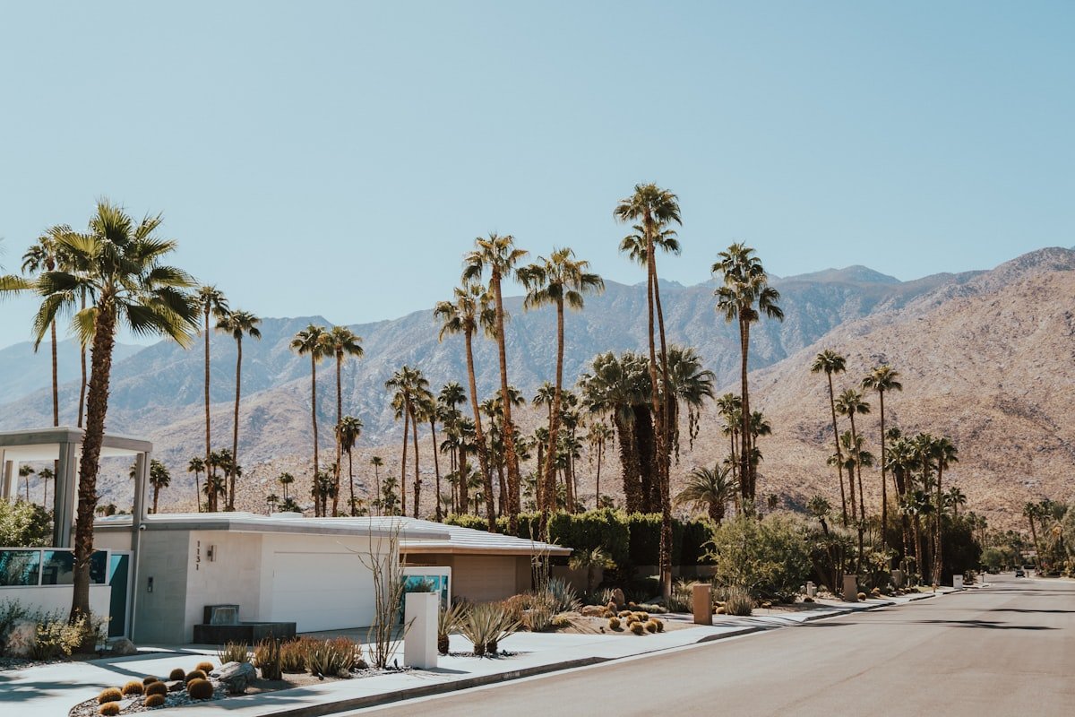 Modern desert mid-century architecture with palm trees and mountains representing the STIIIZY Indio dispensary corridor on Highway 111
