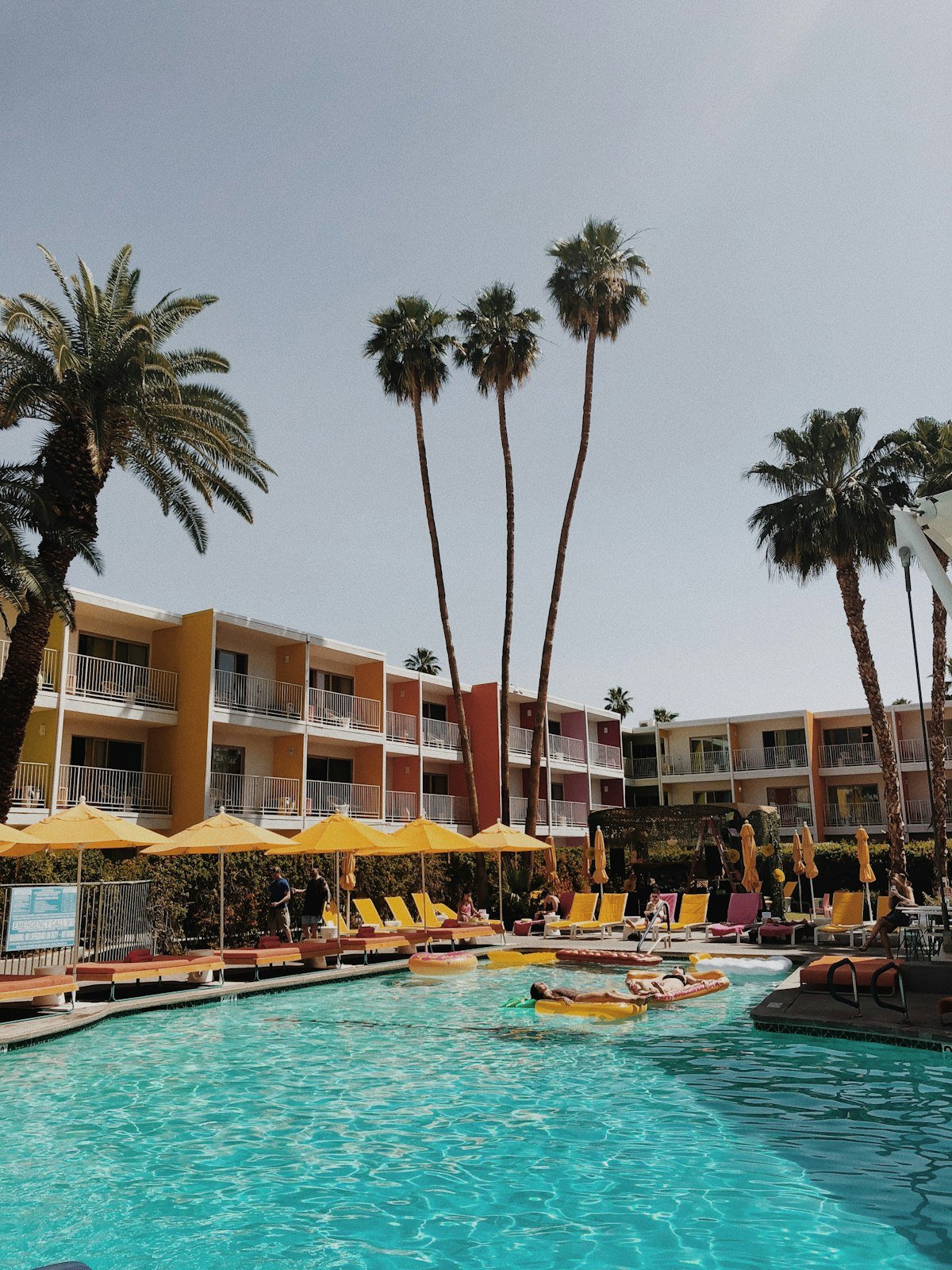 Cathedral City mid-century desert architecture and palms near the West Coast Cannabis Club flagship on Ramon Road