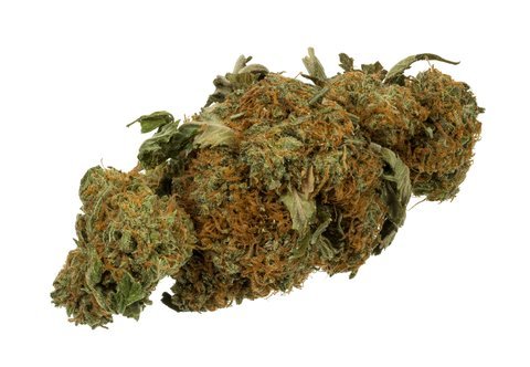 Dense cured cannabis flower bud with orange pistils on a white backdrop, representative of Dank by Definition Western New York indoor cultivation