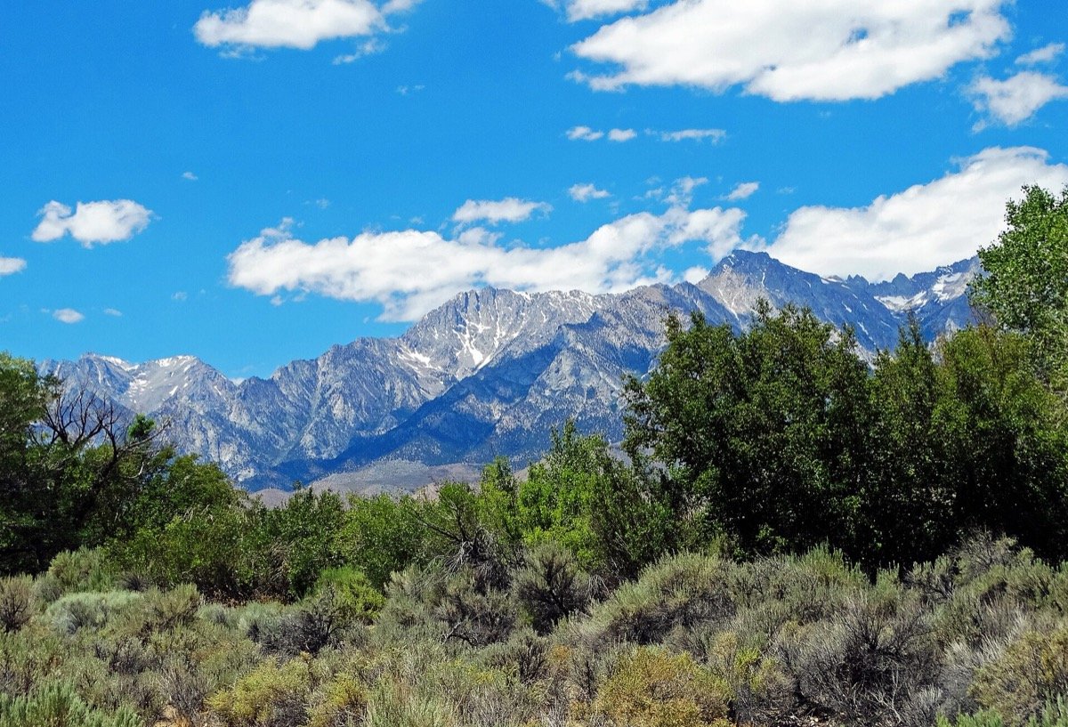 Snow-flecked Sierra Nevada peaks rising over sagebrush along the June Lake Loop on Highway 158, the Eastern Sierra corridor where High Sierra Cannabis Co operates the only licensed counter between Mammoth Lakes and Lee Vining.