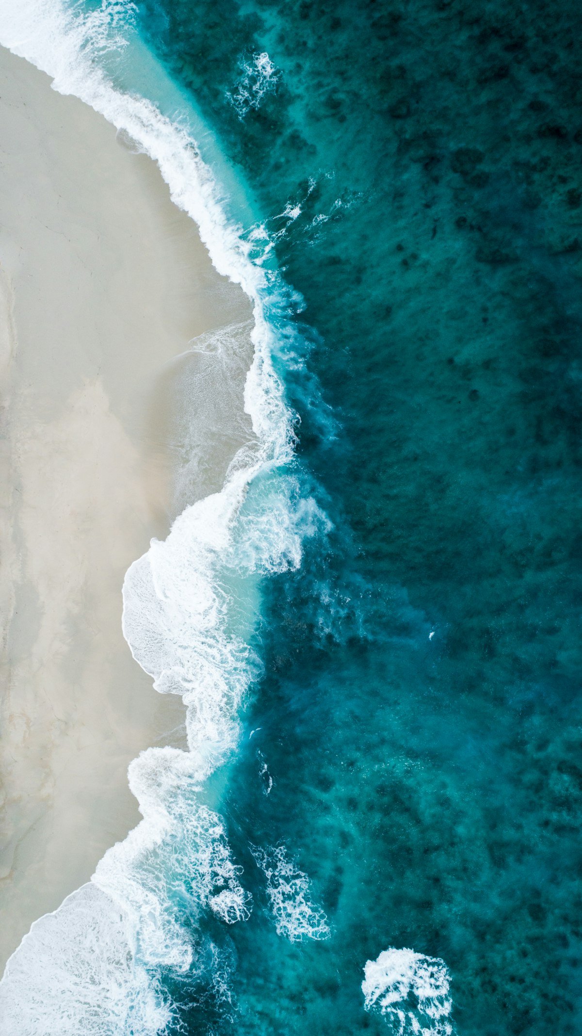 Aerial view of Pacific Ocean waves crashing against an empty beach evoking the cliffside scene where the Dude and Walter scatter Donnys ashes
