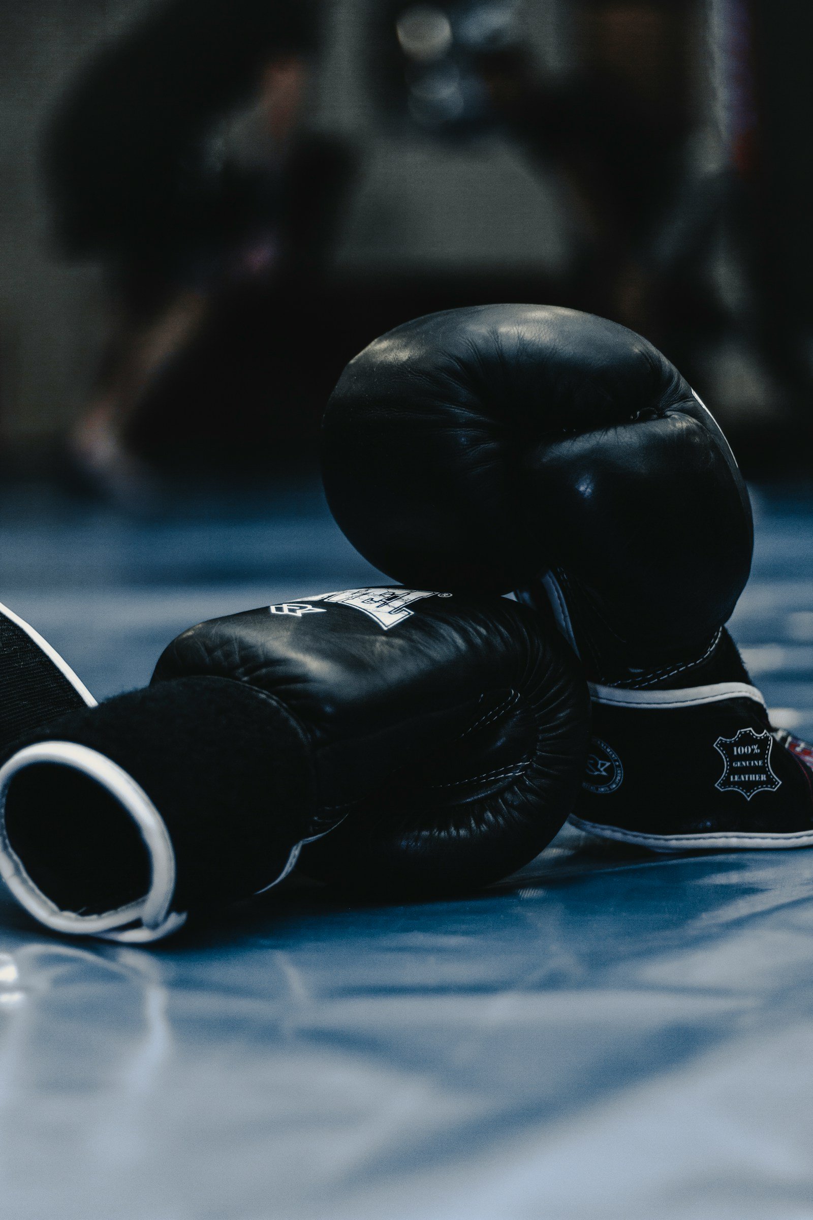 Pair of black leather boxing gloves on a gym mat evoking Walter Sobchak rage and the Vietnam-energy outbursts