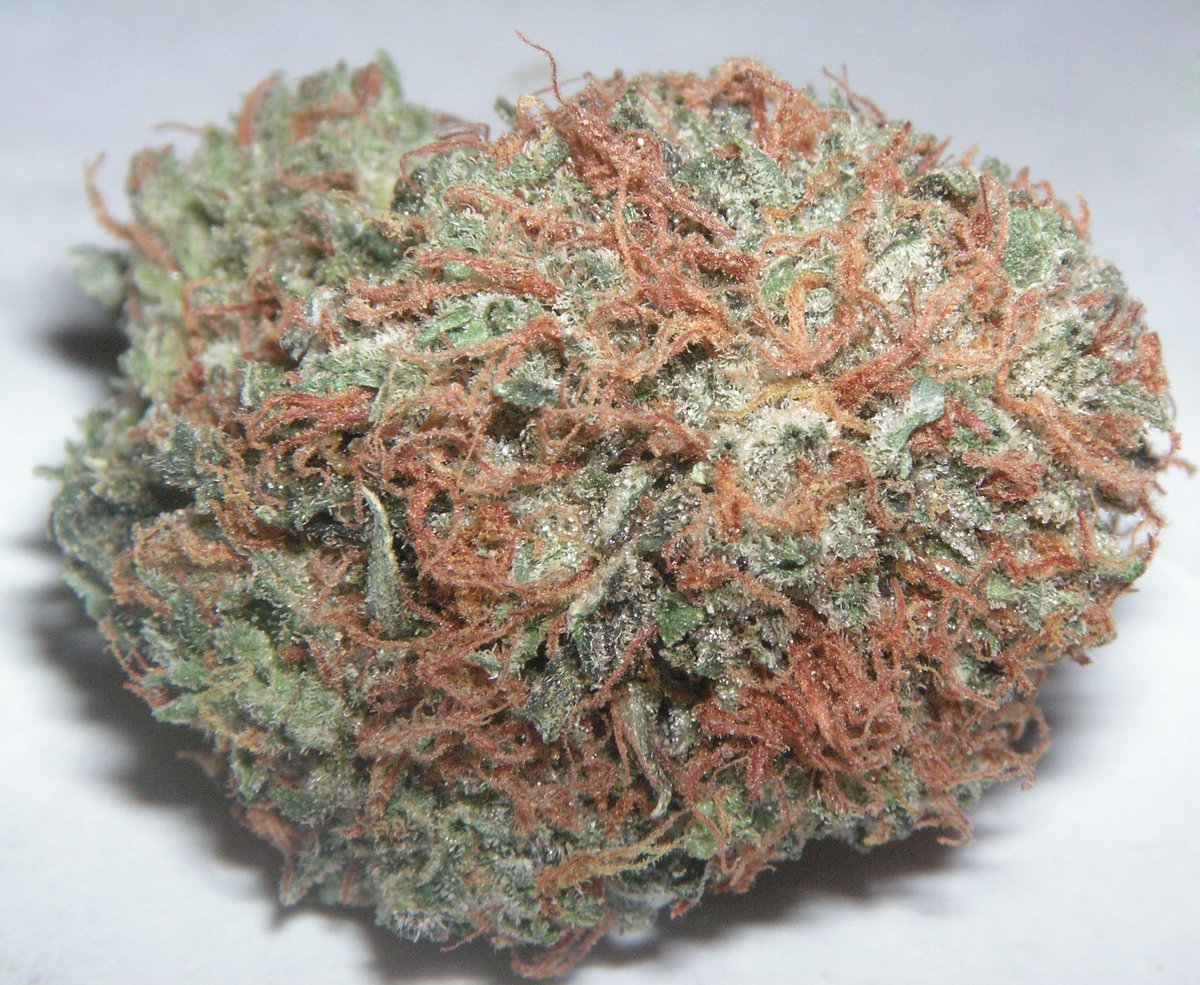 Frosty cannabis bud with bright orange pistils, representative of the Mohave Reserve eighths sold at JARS Metrocenter Phoenix for 35 dollars