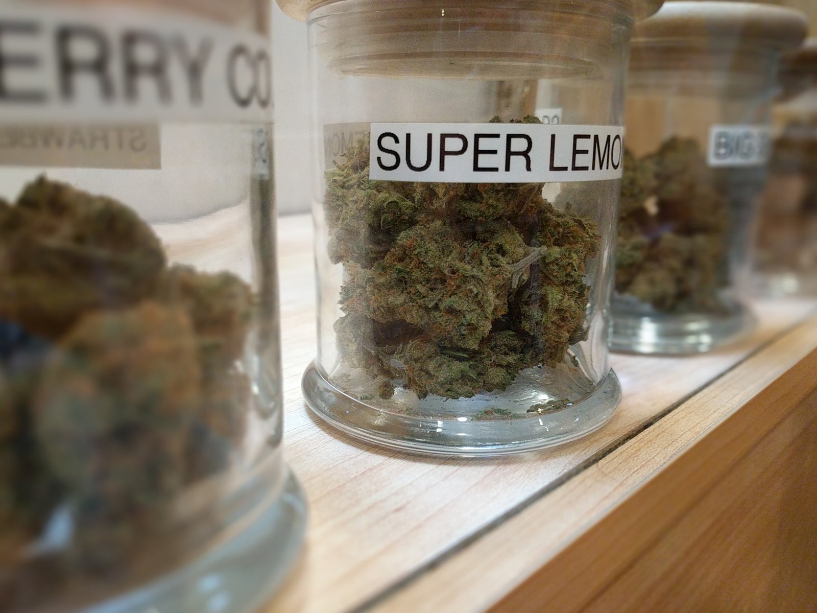 Glass jars of cannabis flower on display in a licensed adult-use dispensary