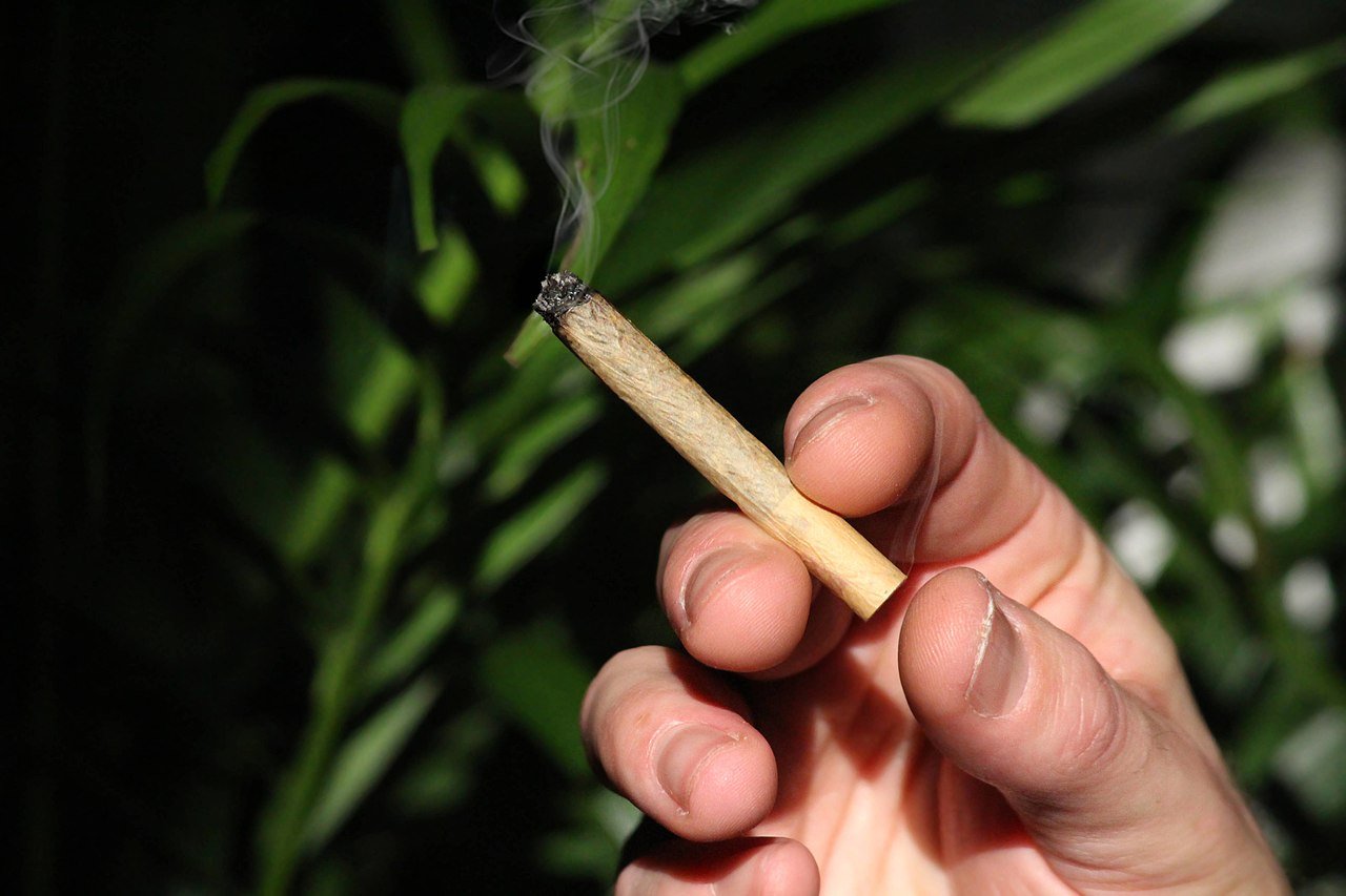 Drew Martin botanical cannabis and herbs pre-rolls from Portland Oregon