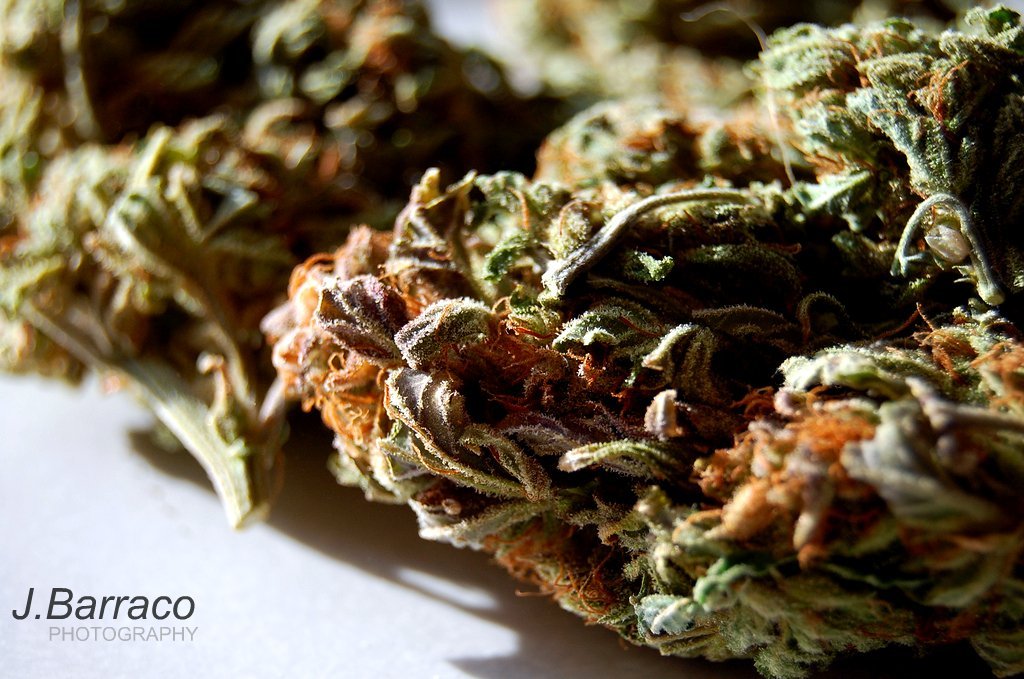 Chalice Farms cannabis brand flower from vertically integrated Oregon producer