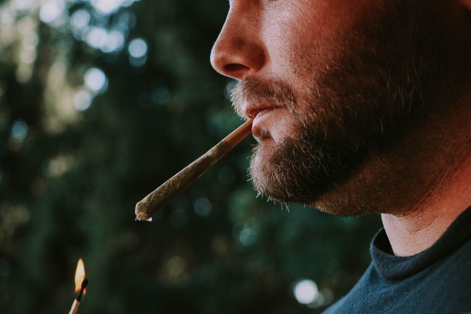 Cannabis pre-roll being lit by a lighter held to the tip in profile against an out-of-focus background, representative of the premium pre-roll category Revolution Cannabis produces from its Delavan and Barry, Illinois cultivation facilities