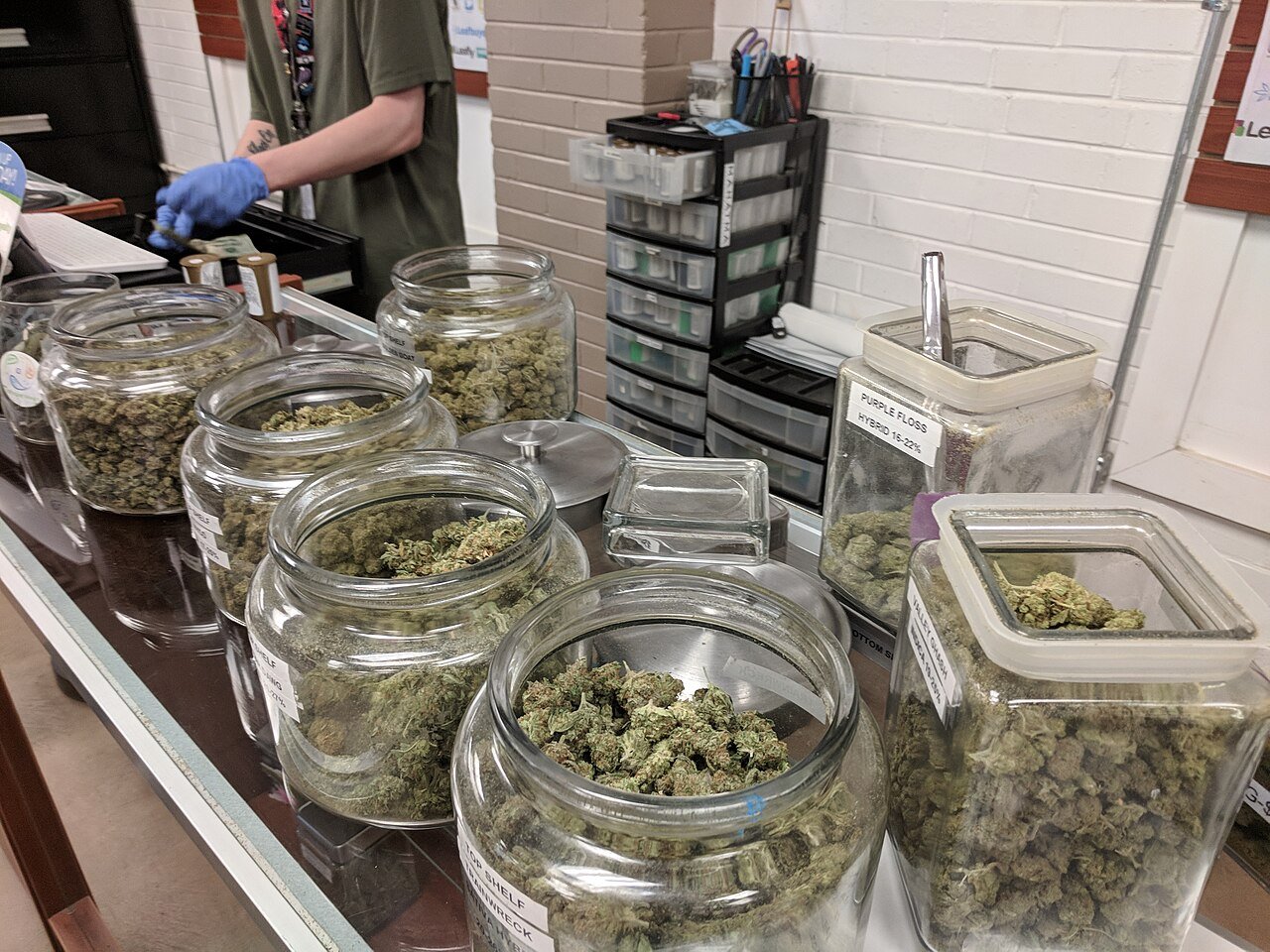 Premium indoor cannabis flower in glass jars at a California dispensary, the connoisseur tier where Dr. Bombay competes at $80 to $90 per eighth