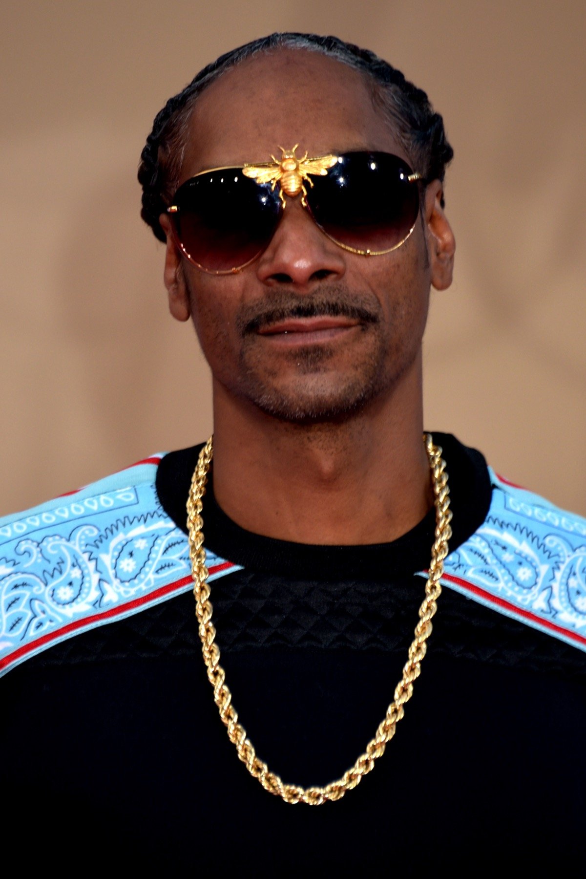Snoop Dogg portrait, the founder of Death Row Cannabis, Dr. Bombay, and Casa Verde Capital