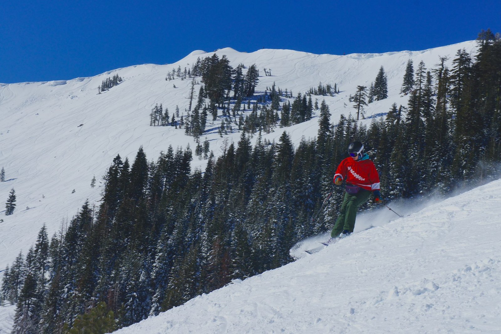 Skier carving through trees on a bluebird day at Palisades Tahoe in California