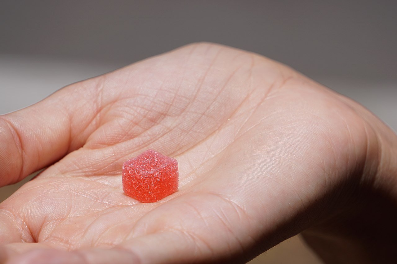 Single red infused gummy in an open palm, the bite-shaped format Tyson 2.0 built its edibles reputation on